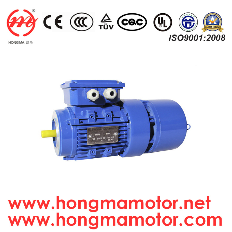 AC Motor/Three Phase Electro-Magnetic Brake Induction Motor with 7.5kw/8pole