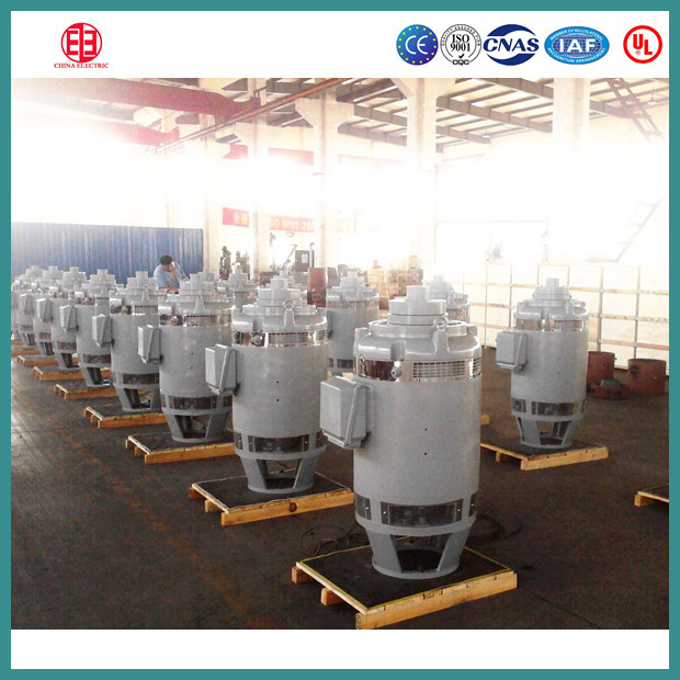 NEMA Standard Vertical Hollow Shaft Pump Motor