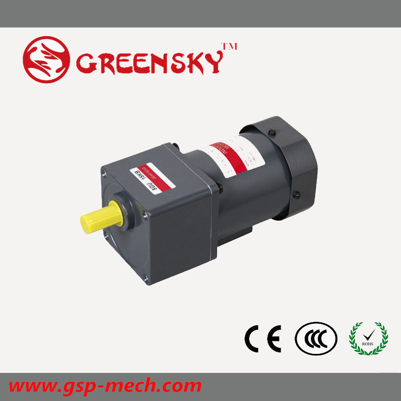 GS High Efficient AC Reversible 60W 90mm Geared Motor