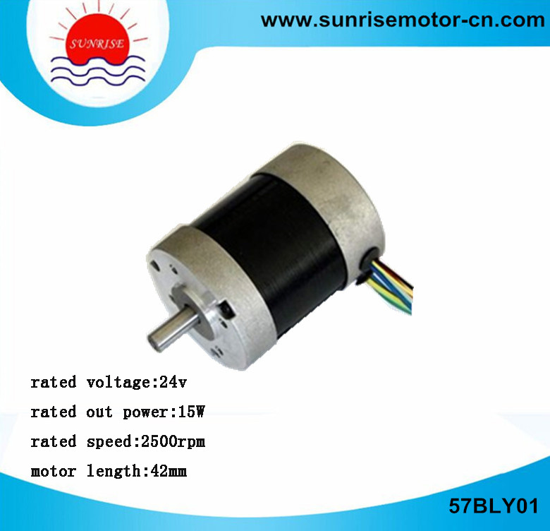 57bly01 BLDC Motor Electric Motor Round Motor BLDC Motor