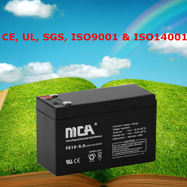 12 Volt Battery Small 12V Rechargeable Battery 12V Battery Pack