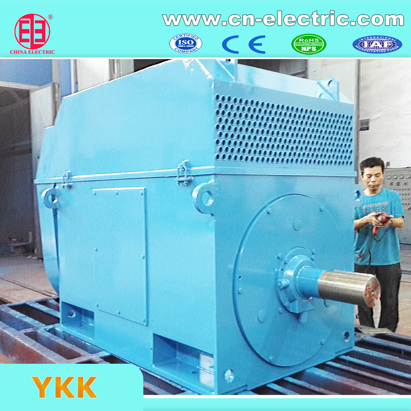 IC611 Teaac Medium Size Squirrel Cage Motor