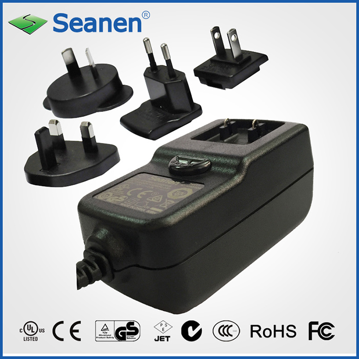 24W Multi-Pin Power Supply (RoHS, efficiency level VI)