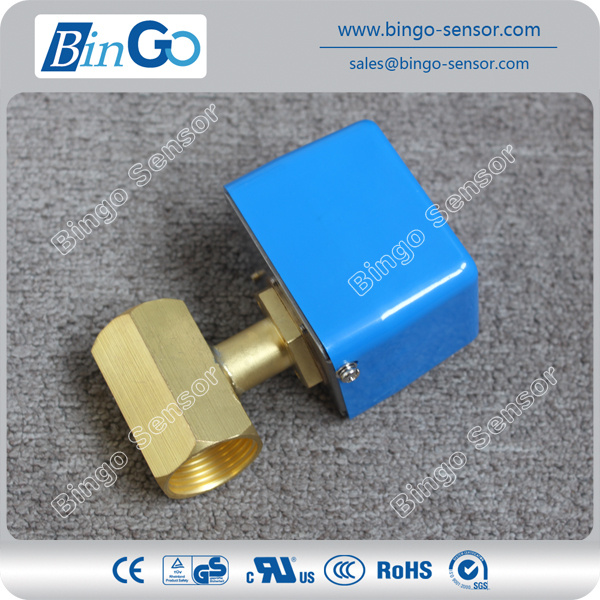 Brass Paddle Type Flow Switch