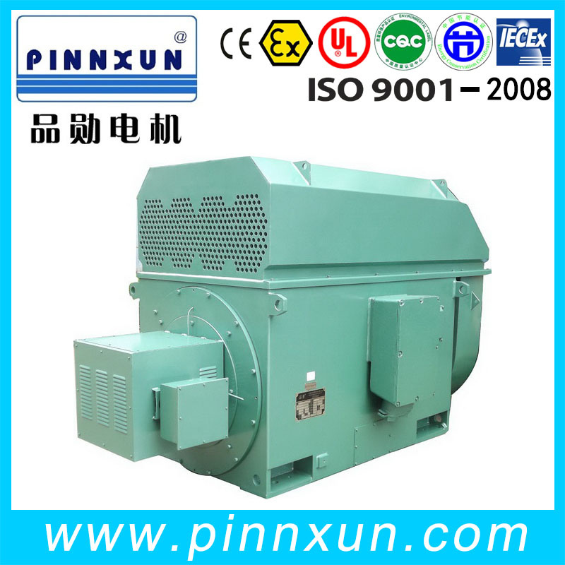 Wound Rotor High Voltage (6.6kv) Motors 355kw