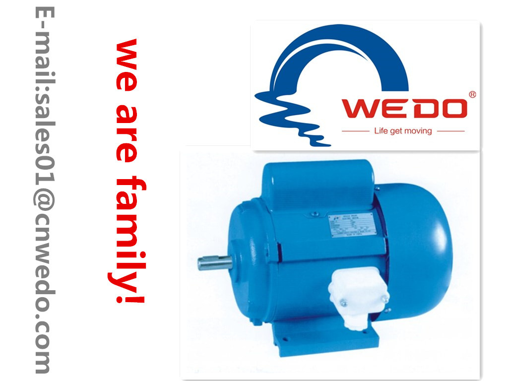 Jy Series Single-Phase Capacitor Start Induction Motor
