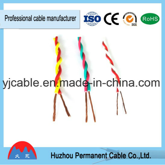 Electrical Cable Suppliers for Rvs/Twisted Cable Cord