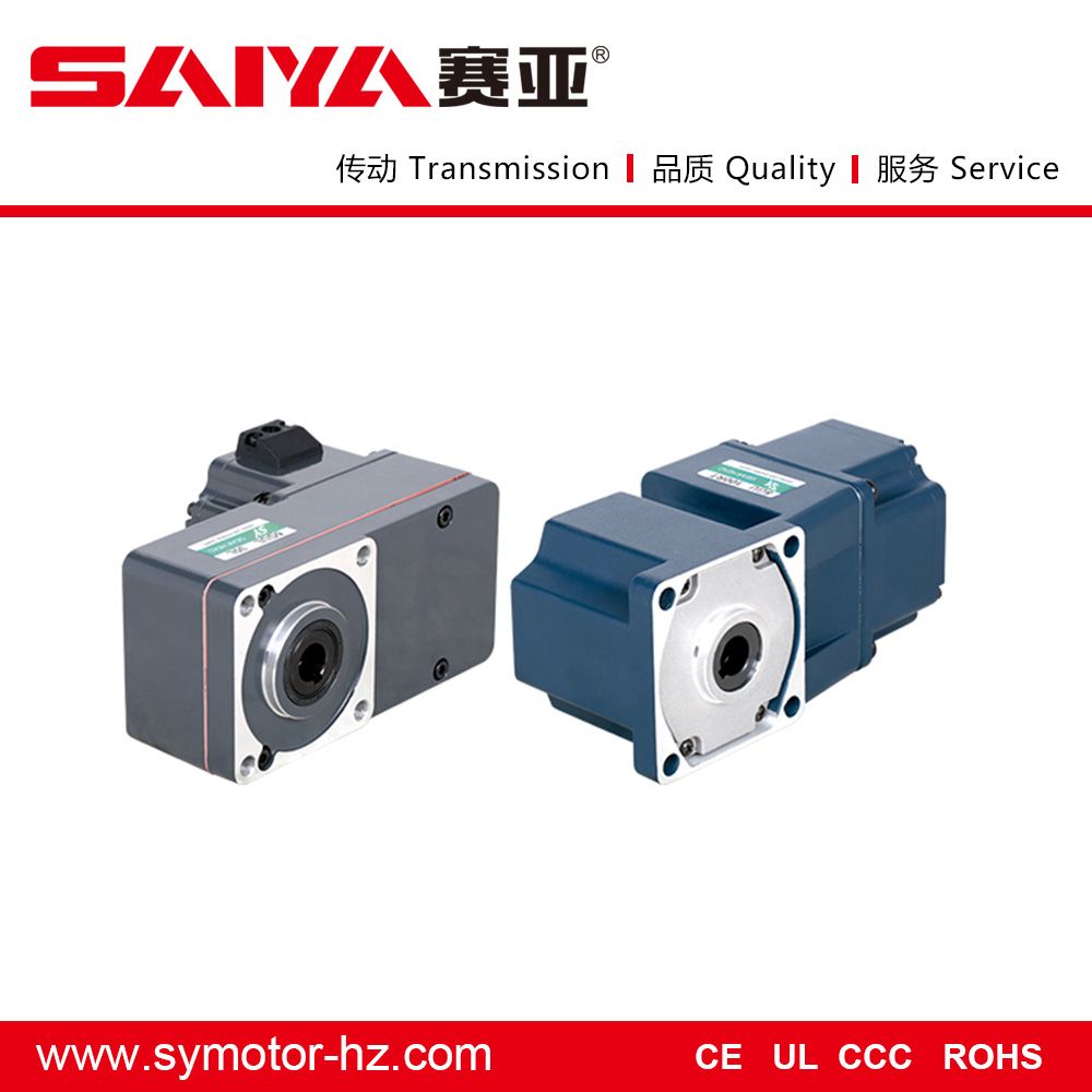 24V 48V 120W High Torque Geared Brushless DC Motor for Robots