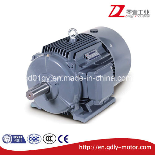 Beide Three Phase Induction Motor, Cast Iron, IP55, IC411