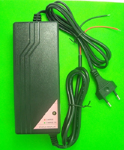 MCU Control 36V 42V 2A Li-ion Battery Charger