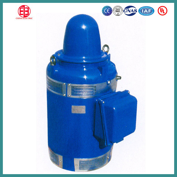 Vertical Hollow-Shaft Three- Phase Pump Motor