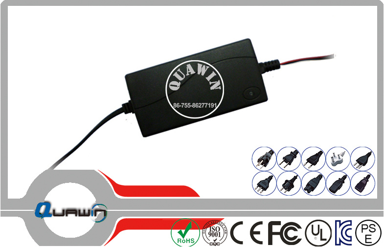 18.25V 3A LiFePO4 Battery Pack Charger