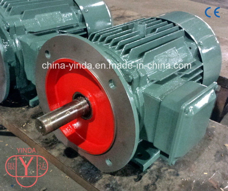 30HP High Efficiency Tefc -IP55 Three Phase AC Motor