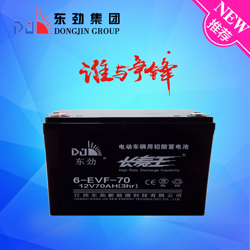 EV Car Battery Optimized Design Lead Acid Battery 12V70ah