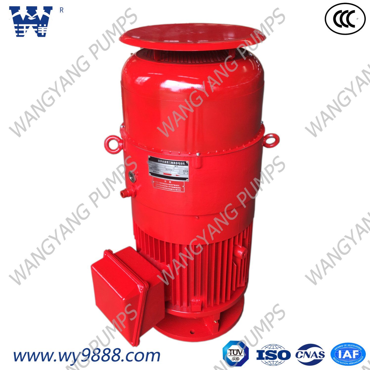 Vertical Turbine Pump Motor Vertical Hollow-Shaft Asynchronous Motor IP44 Series