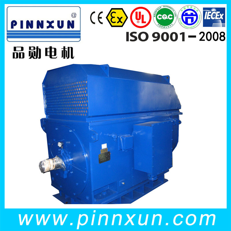 GOST Standard High Voltage Three Phase Asynchronous Motor