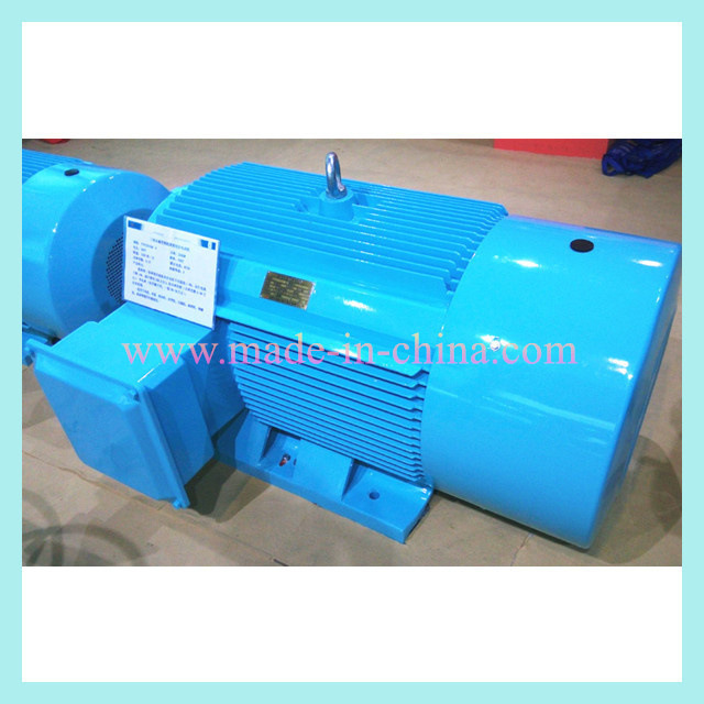Variable Frequency Adjustable Speed Motor