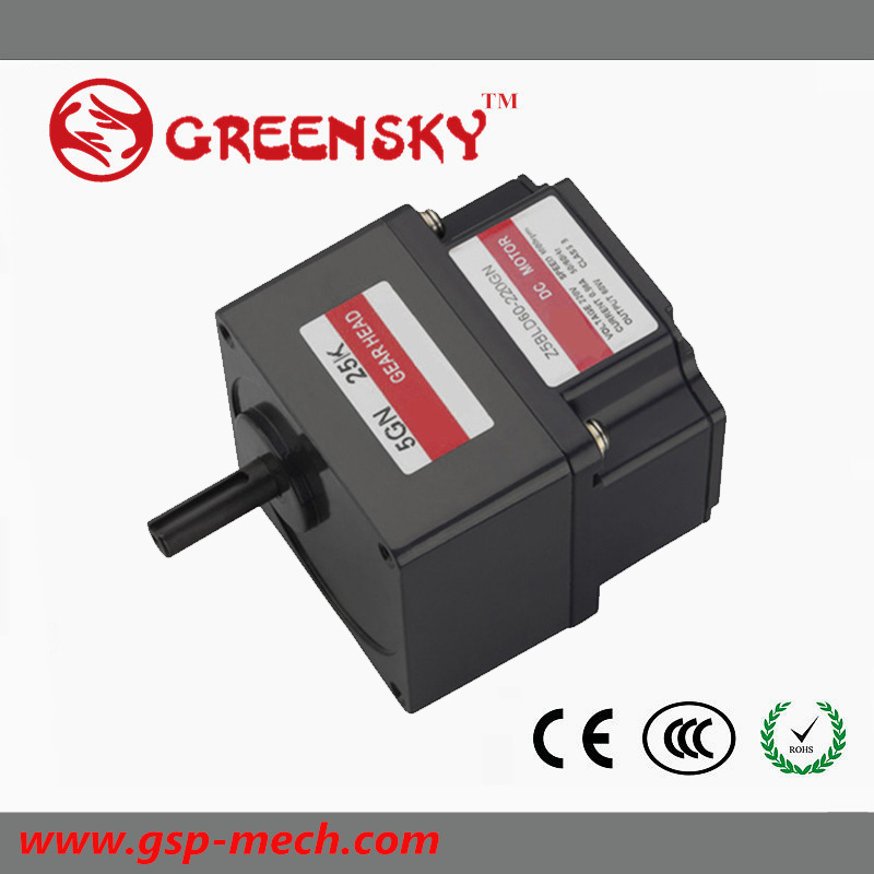 GS High Quality 60W 80mm Low Voltage DC Brushless Motor