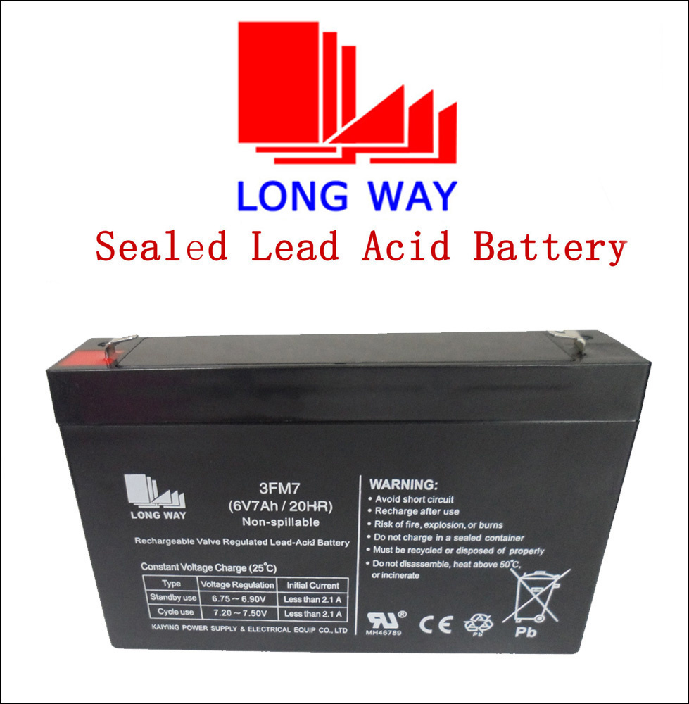 UPS Storage Sealed Lead Acid Battery 6V