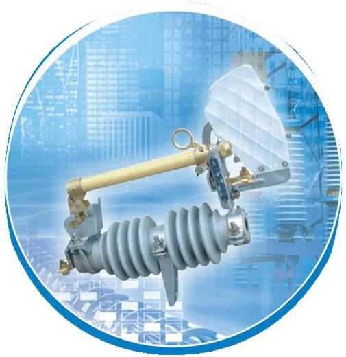 Prw10-12f/100 Drop-out Fuse with Load
