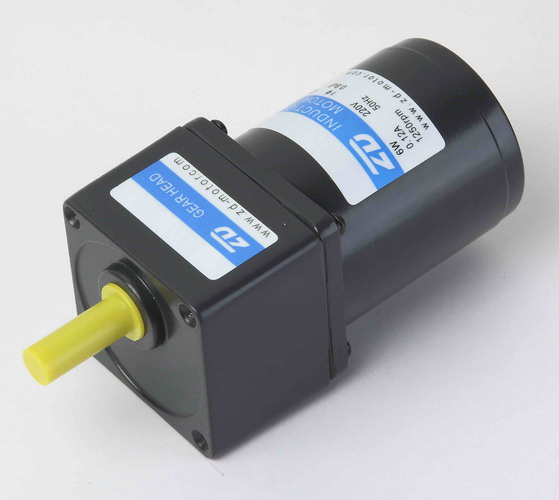 ZD 40 (60) W AC Reversible Gear Motor (Normal Type)