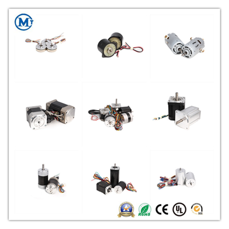 High Quality Customized BLDC Brushless DC Electric Motor