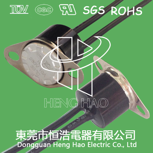 H31 Water Proof Thermostat