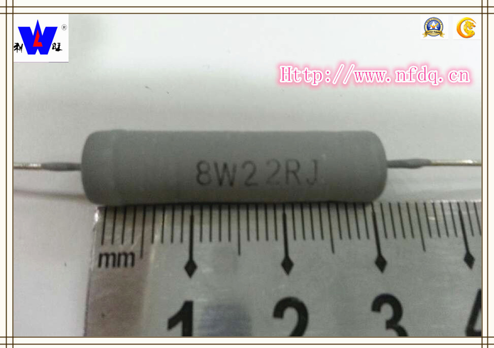 Rx21 Wirewound Resistor with ISO9001 for Machinery