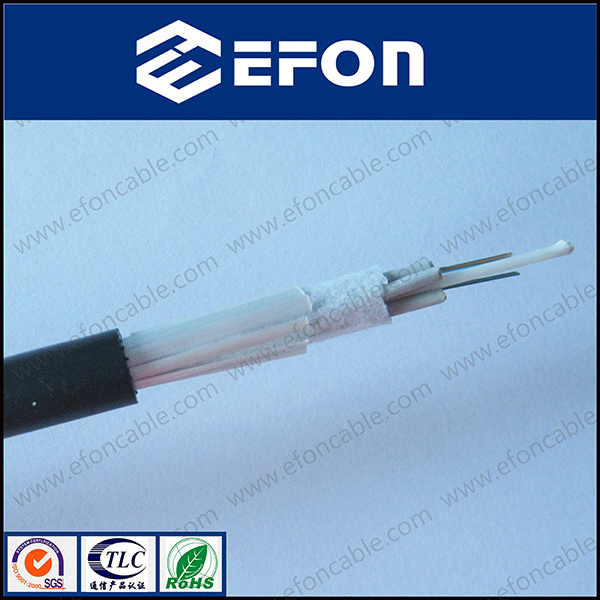 High Quality Non-Metallic Good Waterproof Power Cable (GYFTY-FS)