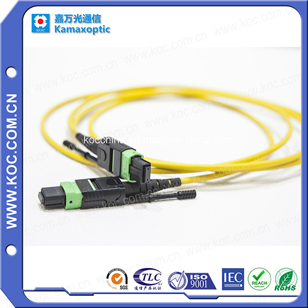 MPO-MPO Plus Singlemode Multimode Fiber Optic Cable