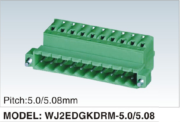 New Developing PCB Terminal Block (WJ2EDGKDRM-5.0/5.08mm)