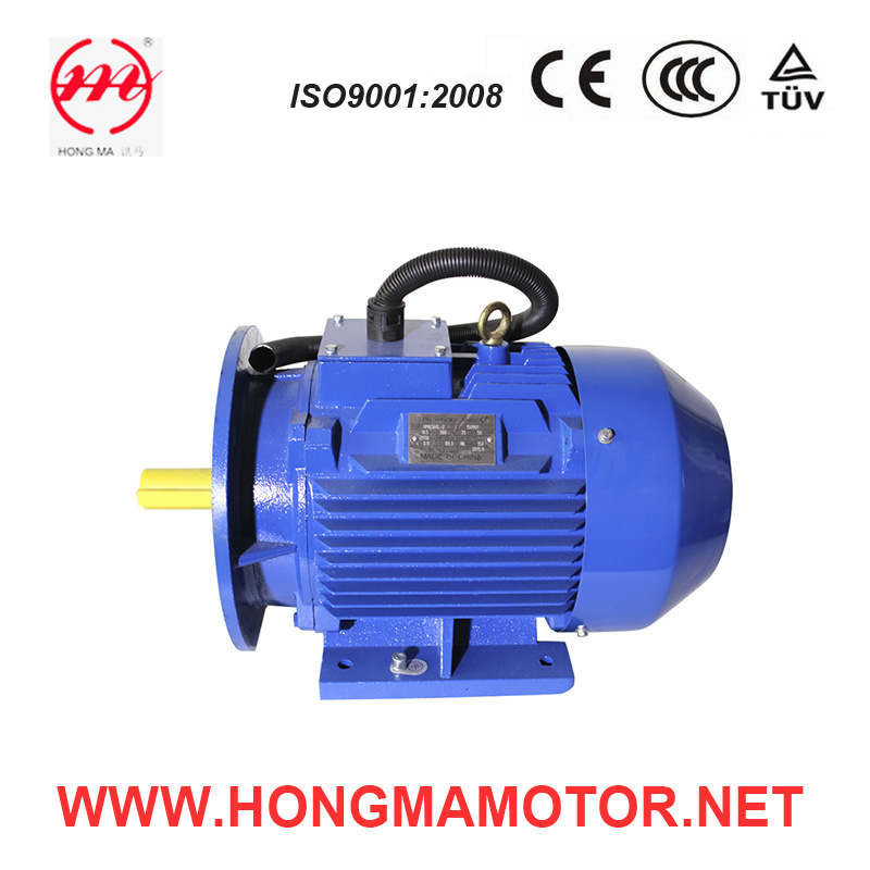 0.55kw 4pole Asynchronous AC Compressor Motor (80M1-4-0.55KW)