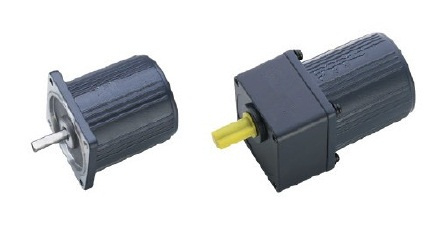 60W Electric Induction AC Gear Motor (Normal Type)