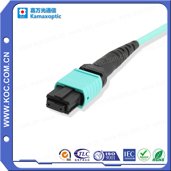 Patch Cord Om4 MPO/MTP 12f PVC 5m