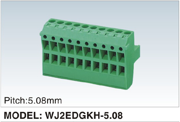 New Developing PCB Terminal Block (WJ2EDGKH-5.08mm)