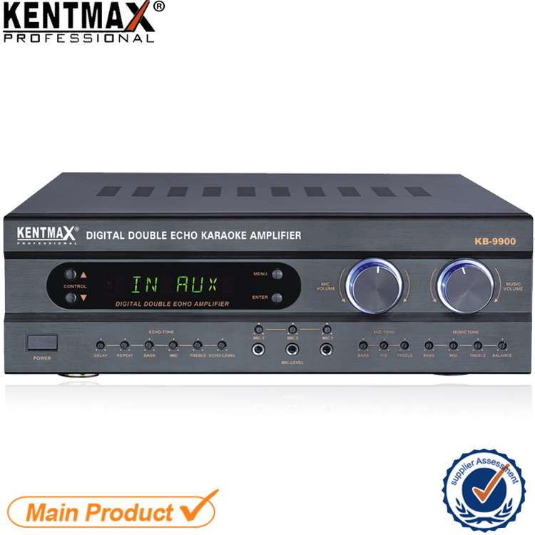 Top Sales 250 Watts Digital Double Echo Power Amplifier China