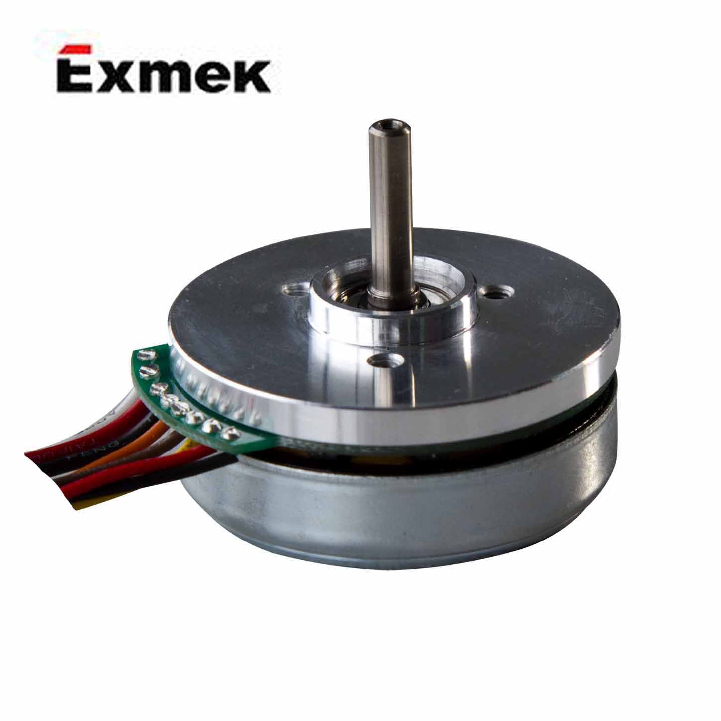 DC Brushless Motor with 12V 17W External Rotor (EF045AS100)