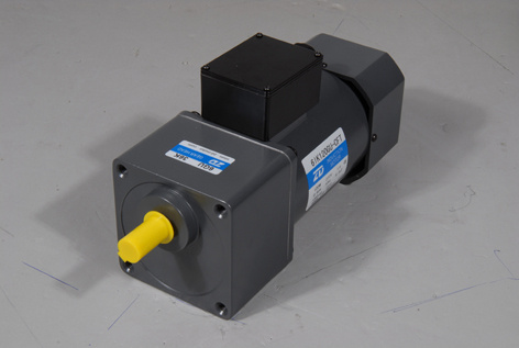 120W 3-Phase Induction Electric AC Gear Motor