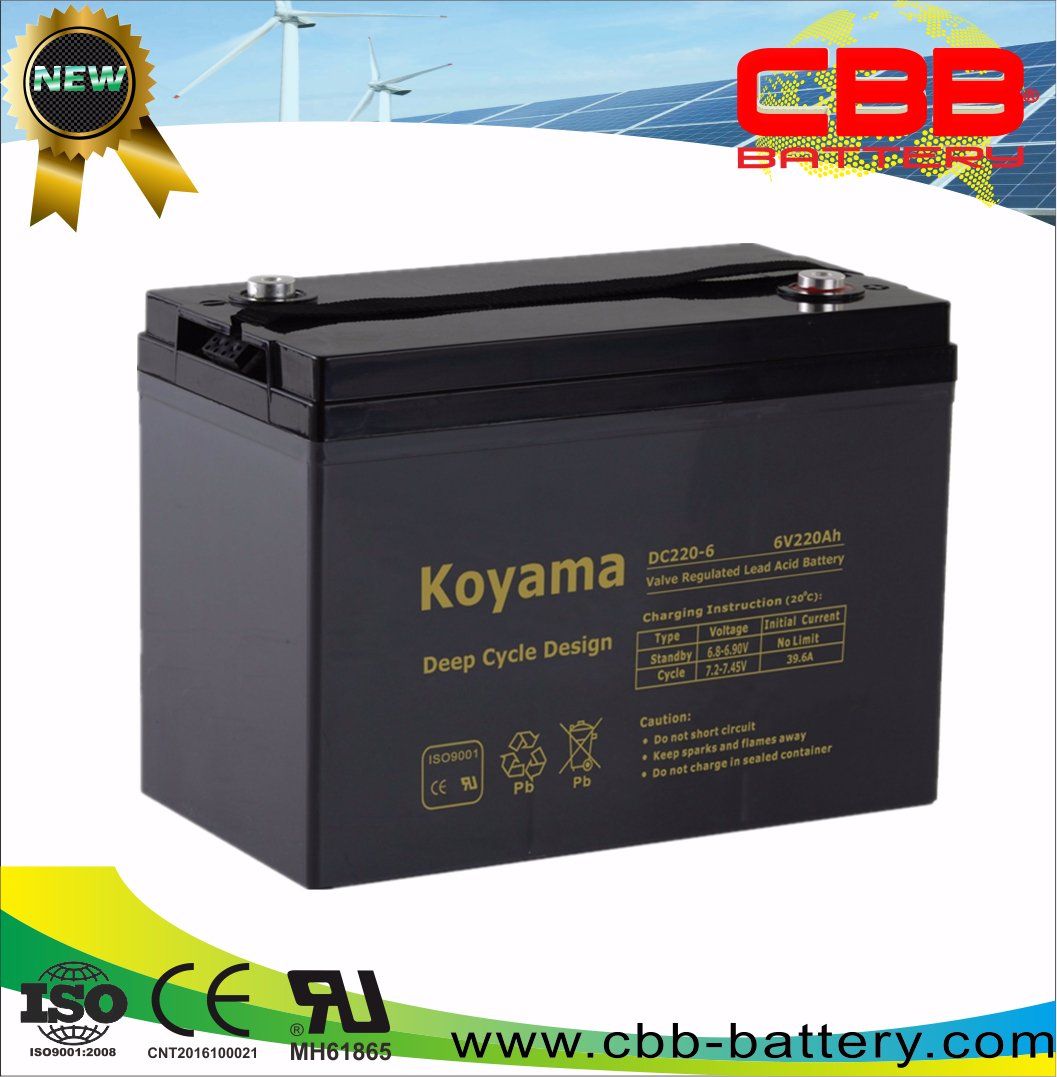 220ah 6V Floor Oscillating Head Scrubbers Deep Cycle Storage Battery