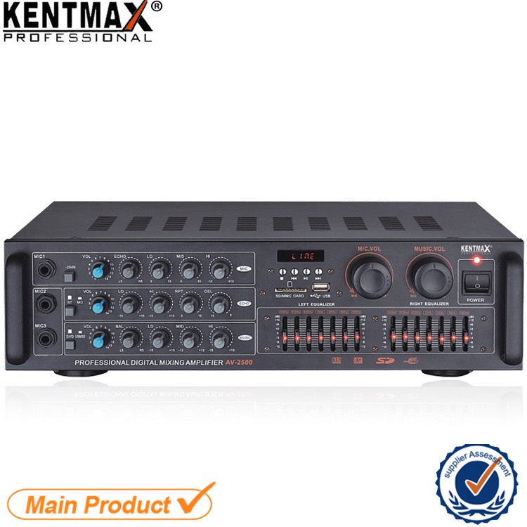 25 Watts 2 Channel Iron Panel HiFi PRO Power Amplifier