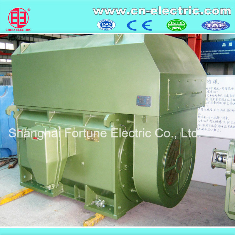 Big Size Asynchronous AC Induction Motor