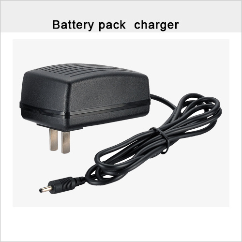 12V 01A EU/USA Plug Charger