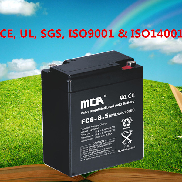 6 Volt Gel Battery Rechargeable 6 Volt Batteries