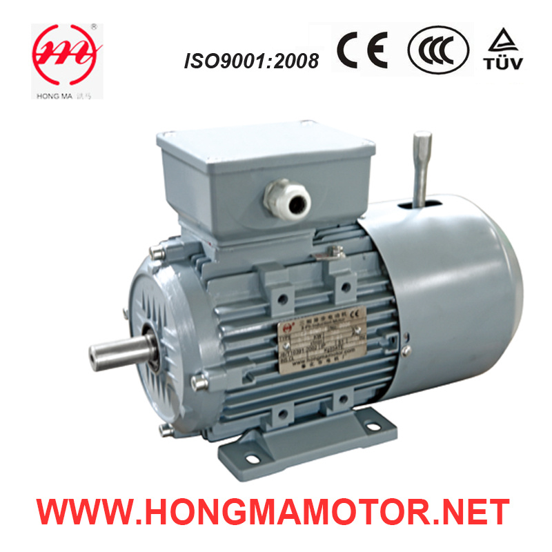 Three Phase Induction Motor with DC Brake (713-2-0.75kw)