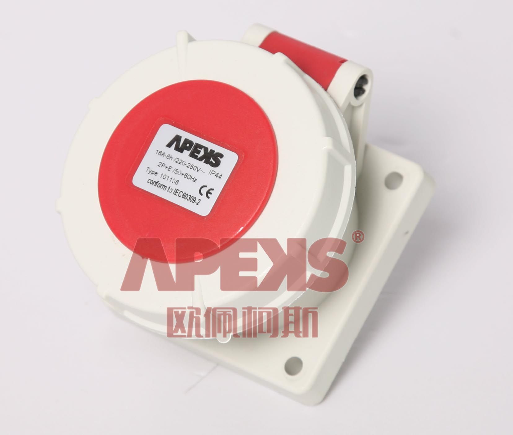 IP67 Container Socket (Panel Mounted/Straight)