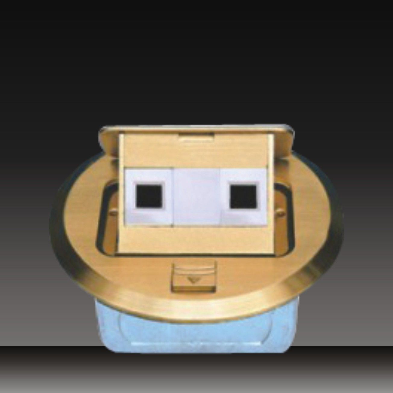 2 Gang Computer Socket (HDC-5-6)
