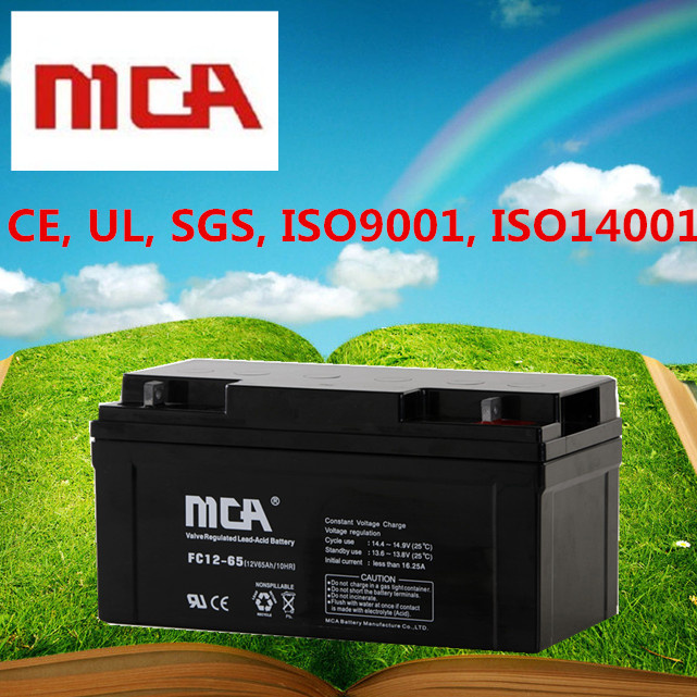 AGM Deep Cycle Battery Sealed Lead Acid Battery 65ah