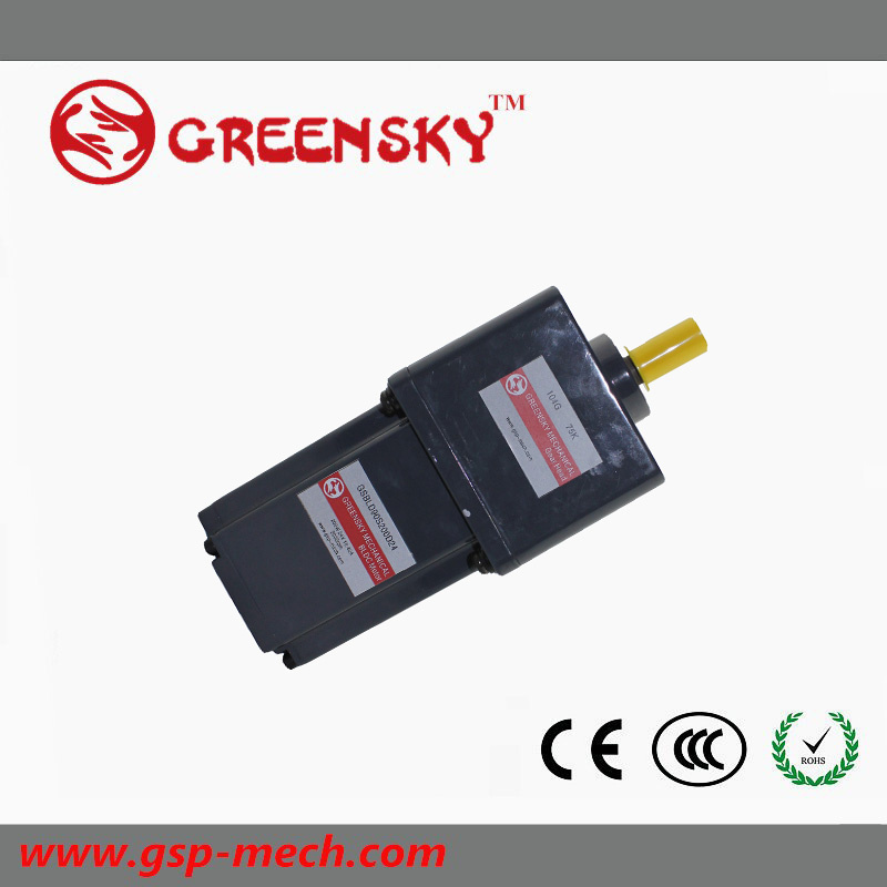 Gsbld60s Brushless Motor BLDC Motor