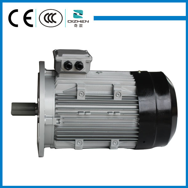 B5 MS Series Induction Motor with Aluminium Body