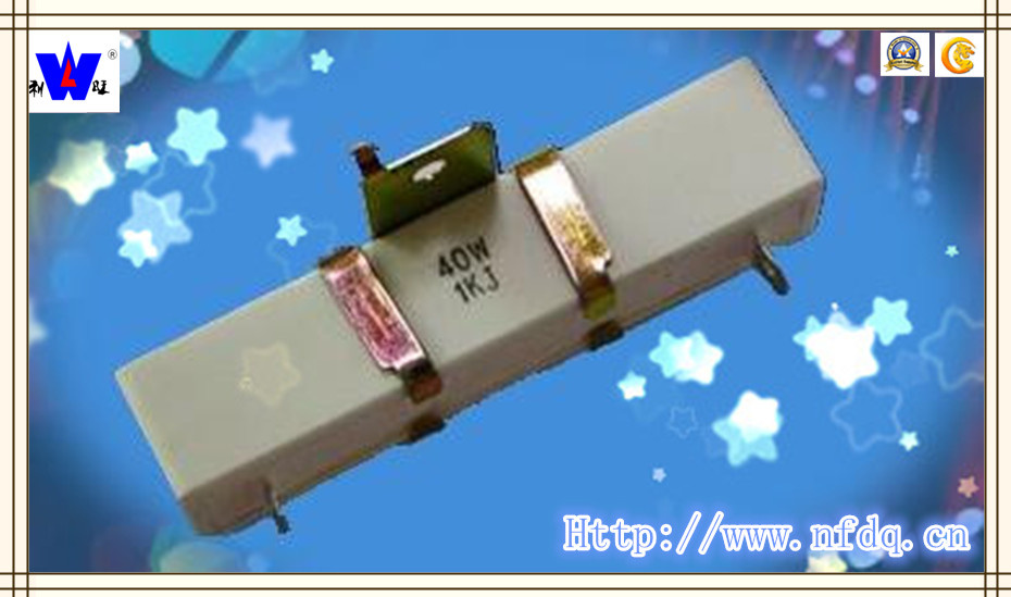 Rx27-4hs Ceramic Encased Resistor with ISO9001